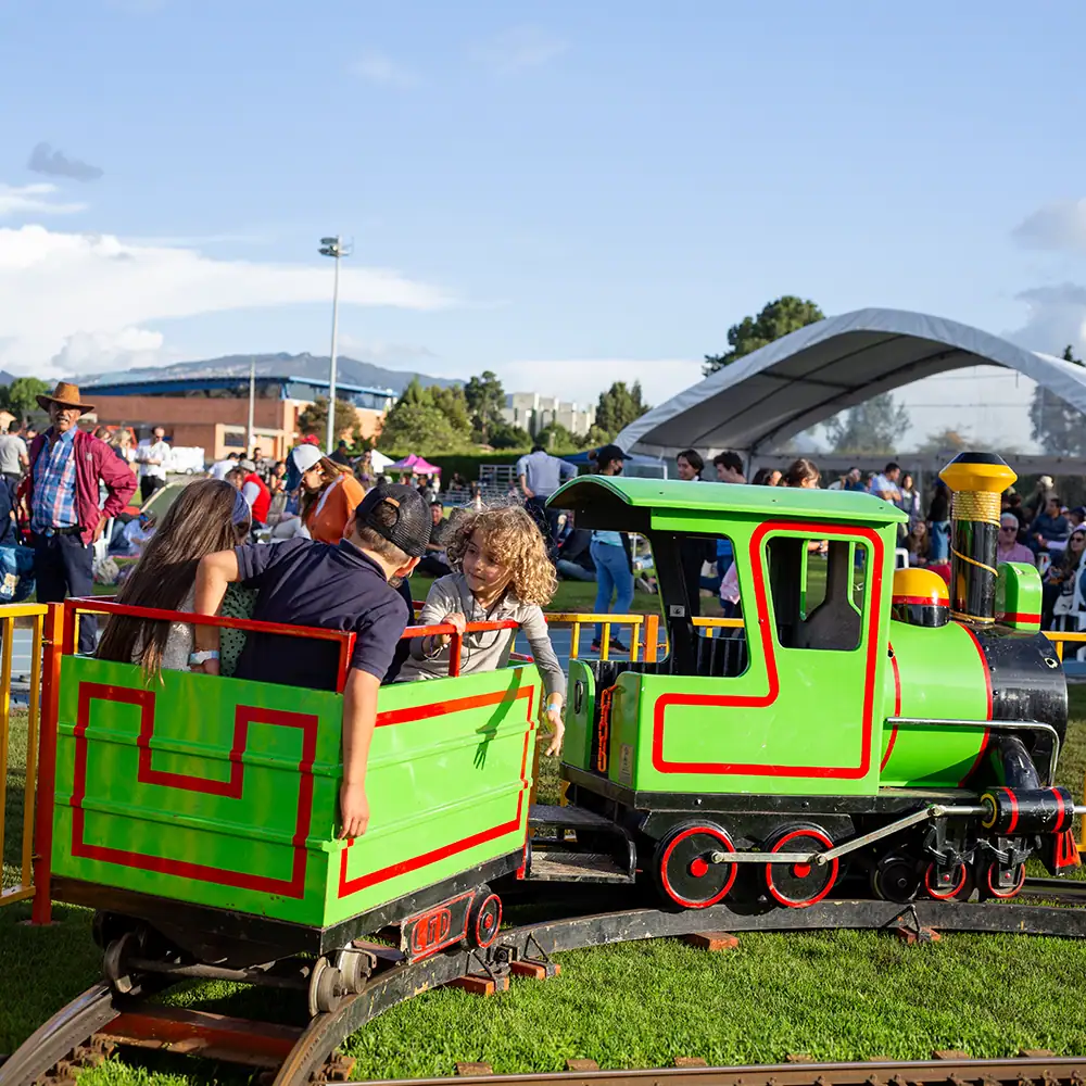 Atracción Tren